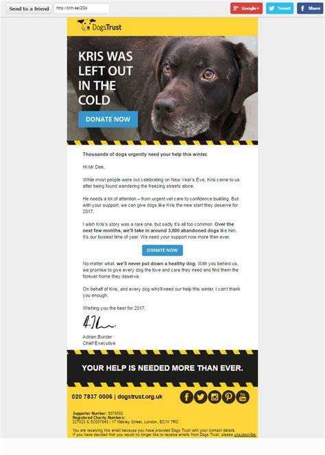 dogs trust winter raffle results.